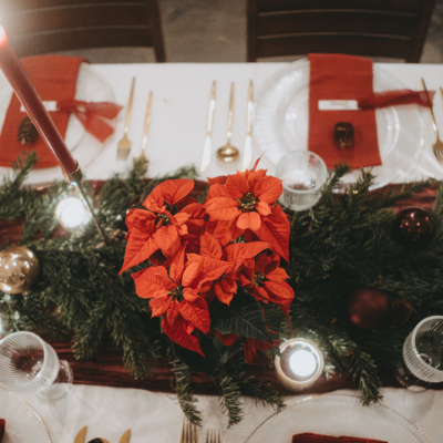 doering-fotografie-weihnachten